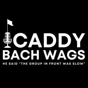 Caddy Bach 99% WAGS Hoodie - Wahine - Womens Supply Hoodie Design